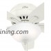 Hunter Fan Company 51080 Newsome Ceiling Fan with Light  42"/Small  Fresh White - B01C2A180Q
